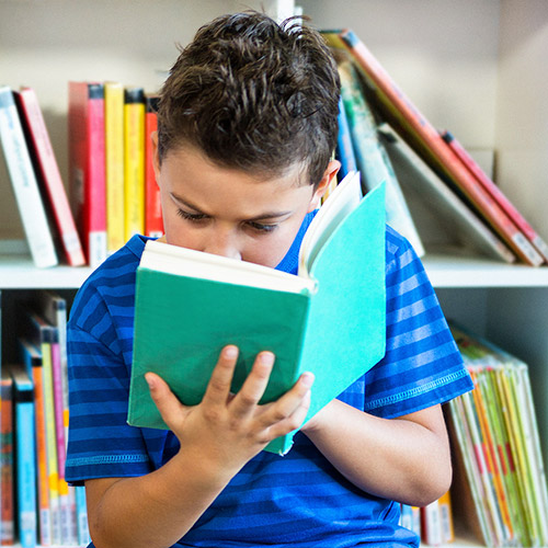 Boy reading a chapter book